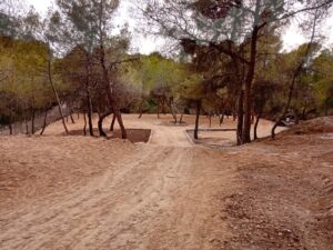 Terreno rustico en Alfas del Pí