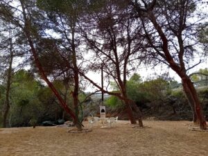 Terreno rustico en Alfas del Pí