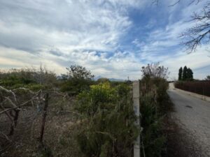 Terreno rustico en Daimus